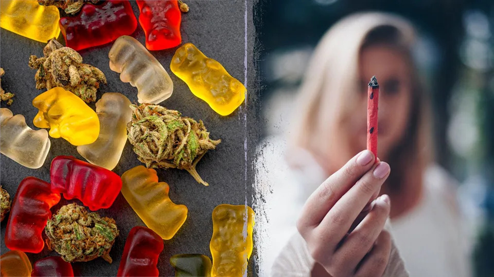 Opasnost na putu: jestivi kanabis narušava vožnju i može 'zaobići' standardne THC testove