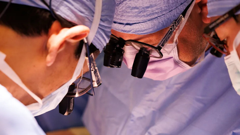 Svinjski bubreg funkcionisao rekordnih 271 dan u telu Amerikanca — kseno‑transplantacija kao „most