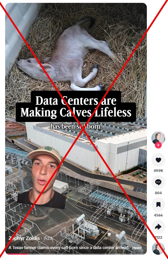 Mogu Li Data Centri Ubiti Pčele i Telad? Nauka Raspredeljuje Mitove