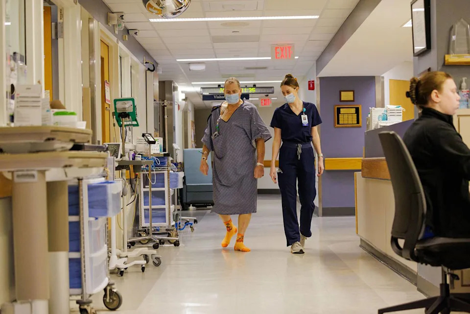 Rekord u xenotransplantaciji: svinjski bubreg funkcionisao 271 dan, pacijent uspešno primio ljudski bubreg