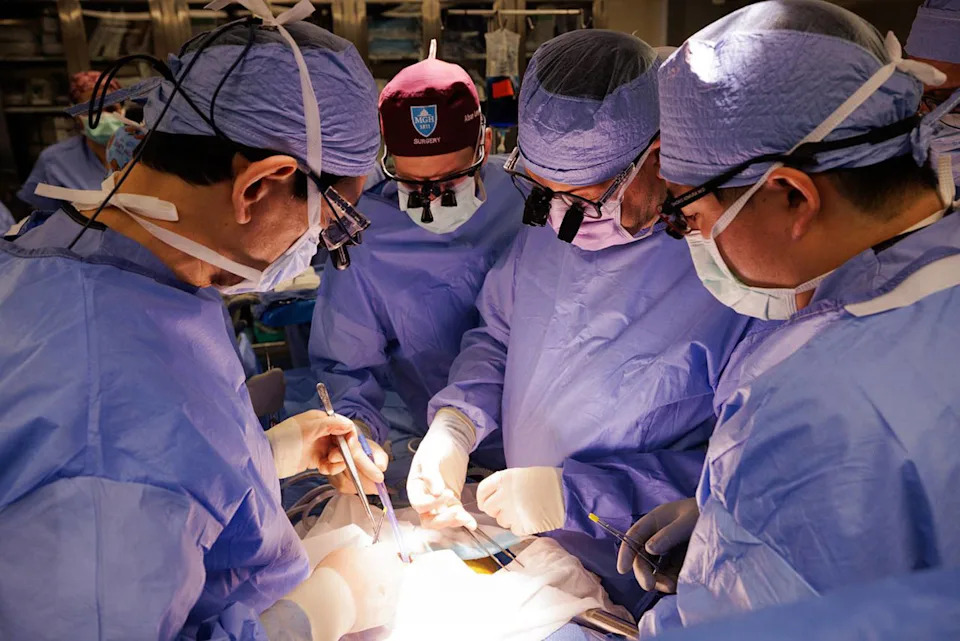 Rekord u xenotransplantaciji: svinjski bubreg funkcionisao 271 dan, pacijent uspešno primio ljudski bubreg