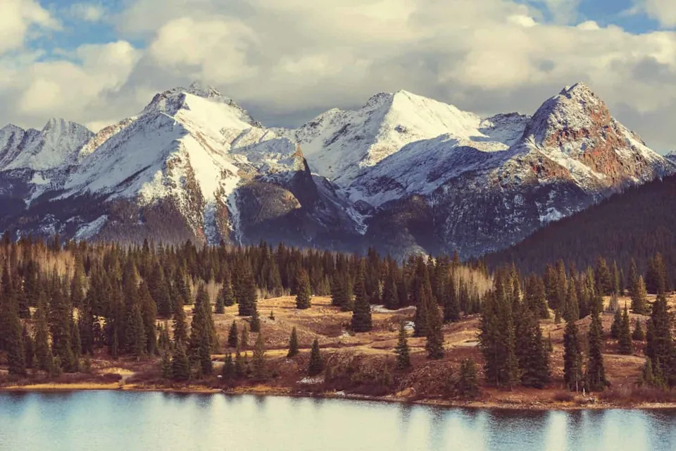 Watch: Colorado Releases Wolves Back Into the Rockies After Decades Away