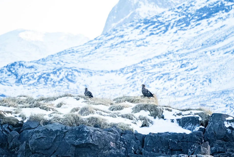 EU Signs €200M Investment Deal With Greenland as Ties Deepen Amid U.S. Pressure