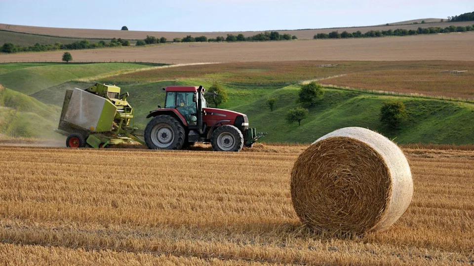 Scottish Food Price Cap Sparks Farmer Fears Over Cost Shifts to Producers