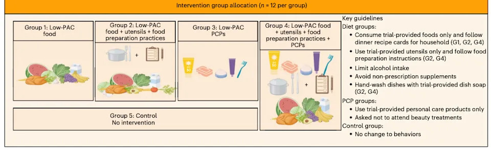 Seven-Day Low‑Plastic Diet Cuts Urinary Plastic Chemicals Up To 60%, Trial Finds
