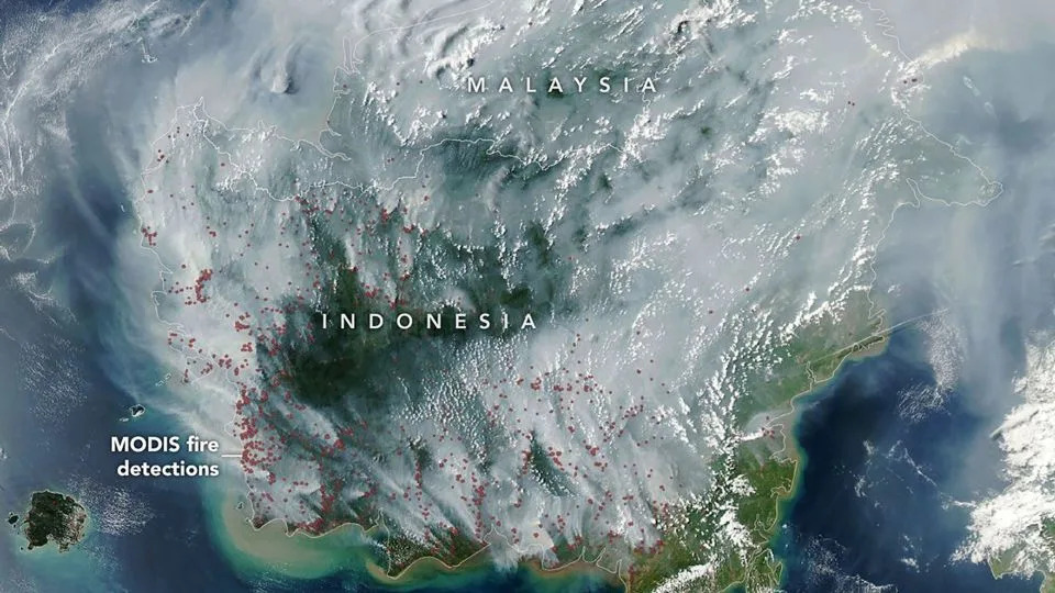 Super El Niño Ponovo Pogoršava Požare U Indoneziji — Gust Dim, Uništene Močvare I Milioni Tona Ugljenika
