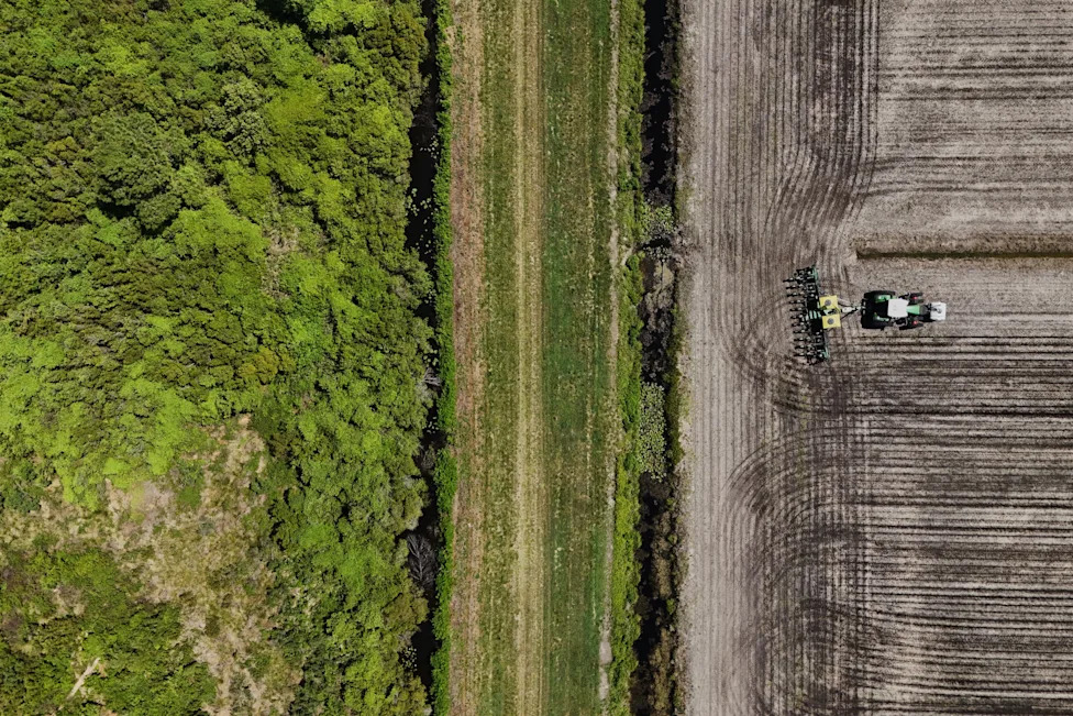 Racing To Rewet 'Black Gold': Restoring North Carolina's Peatlands Before They Burn