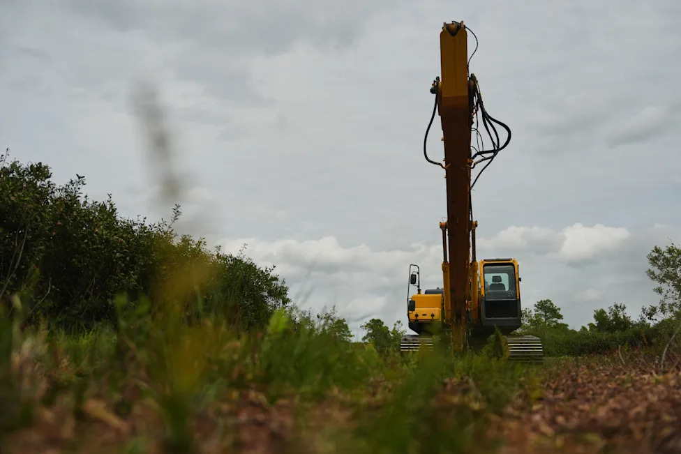 Racing To Rewet 'Black Gold': Restoring North Carolina's Peatlands Before They Burn