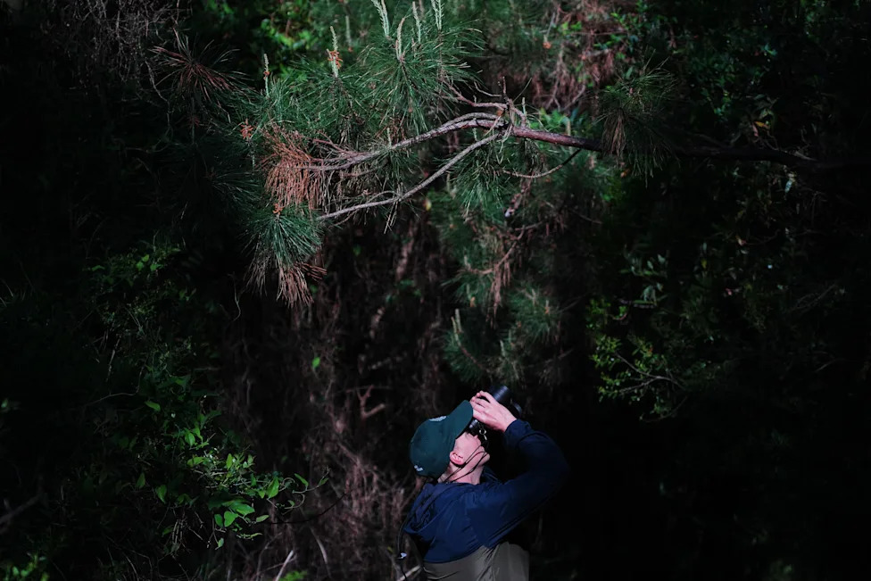 Racing To Rewet 'Black Gold': Restoring North Carolina's Peatlands Before They Burn