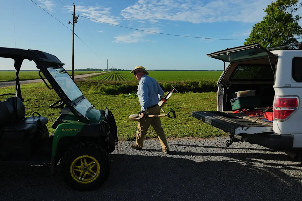 Racing To Rewet 'Black Gold': Restoring North Carolina's Peatlands Before They Burn