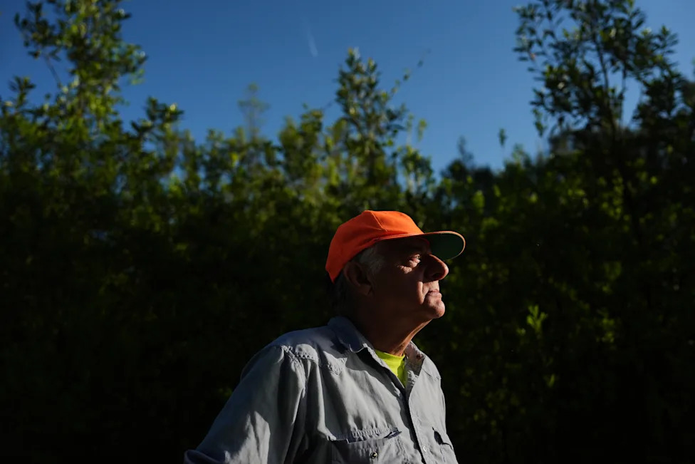 Racing To Rewet 'Black Gold': Restoring North Carolina's Peatlands Before They Burn