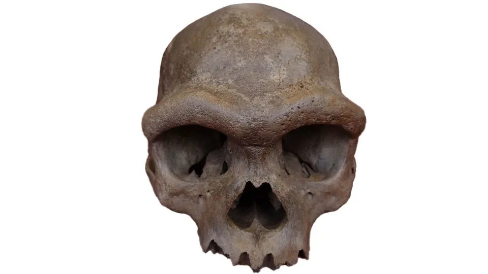 Sedam novih Denisovanovih fosila u Yunnanu otkriva način života misterioznih ljudskih rođaka