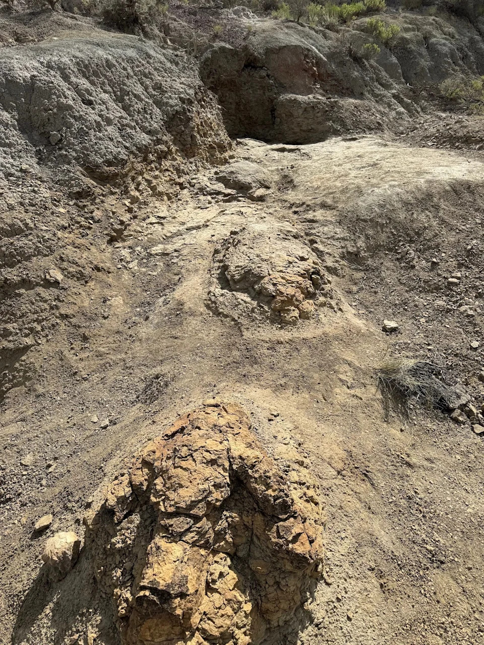 Otkriven Prvi Putni Trag Odraslog T. rexa — Staza Duž 23 Stope U Hell Creek Formaciji