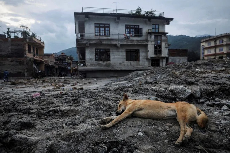 Posledice poplava u Nepalu: Reutersove fotografije pričaju priče o izgub﻿ljenim životima i nadi