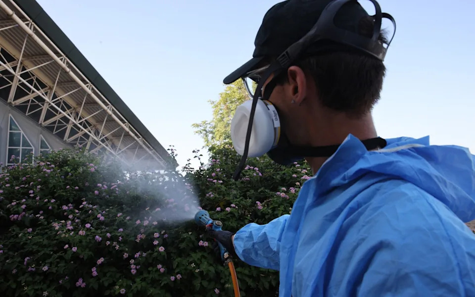Virus Zapadnog Nila Širi Se Evropom Dok Temperature Rastu