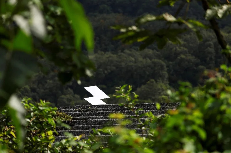 Otkrivena skrivena kripto‑farma u meksičkim planinama: sumnja da karteli peru novac ukradenom strujom