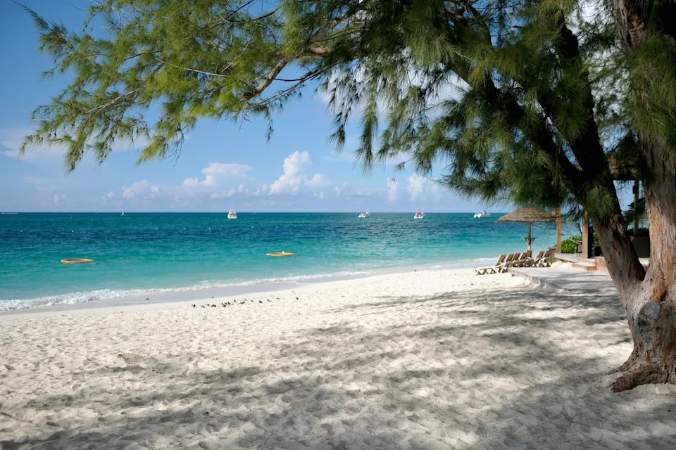 U.S. Tourist Sues Club Med After Alleged Shark Bite, Claims Delayed Care Led to Permanent Damage