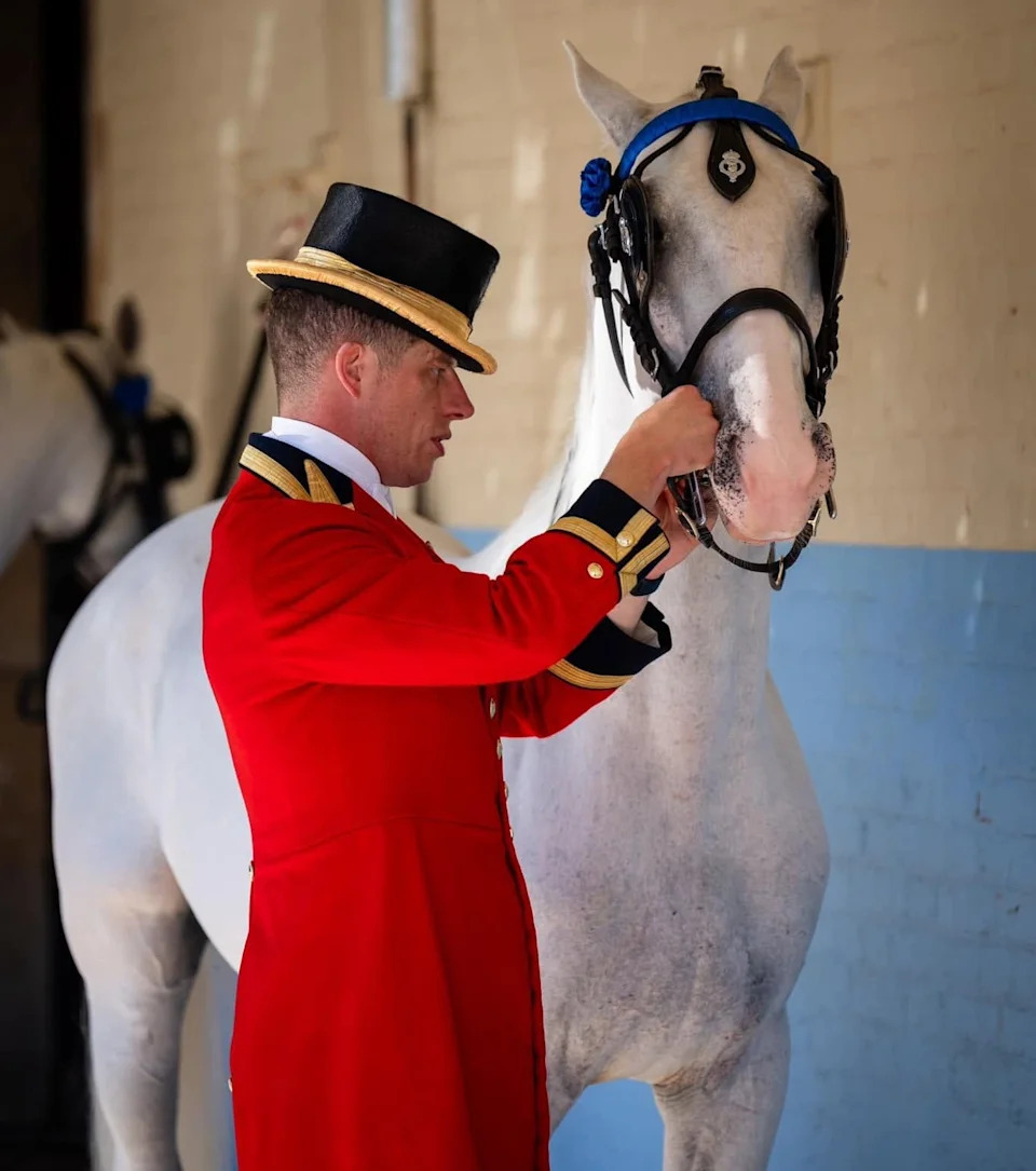 How Two Hungarian Lipizzaners Sparked An Unexpected Diplomatic Furor Over King Charles's Gift