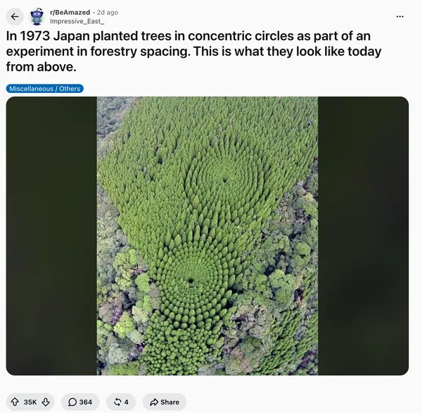 Fact Check: The ‘Mystery Circles’ Are Real — Experimental Cedar Plots Near Nichinan, Japan