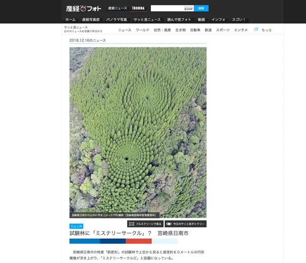 Fact Check: The ‘Mystery Circles’ Are Real — Experimental Cedar Plots Near Nichinan, Japan