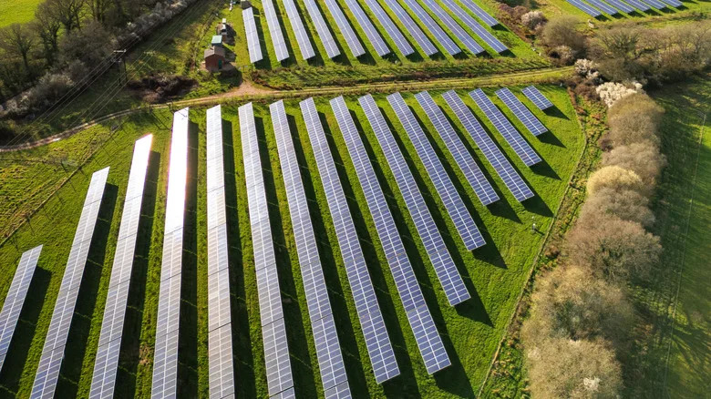 Alarmantno: Solarne farme u Francuskoj smanjuju posete pčela i leptira do 86%