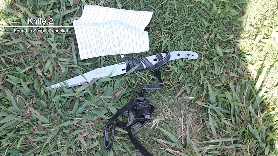 Bodycam Shows Knife-Wielding Man Charge Officer in Crowded Santa Monica Park; One Fatal Shot