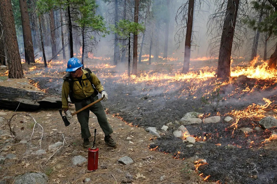 From the 1910 “Big Burn” to Gigafires: Rethinking How America Lives With Fire