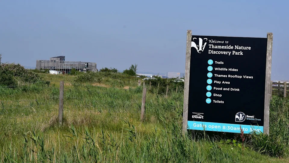 Google Data Centre Plan in Thurrock Sparks Fears for Rare Plant and Bumblebee Habitat