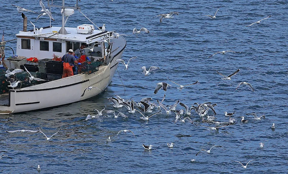 Gulf Stream Se Ubrzava Nakon Decenije Usporavanja — Šta To Znači