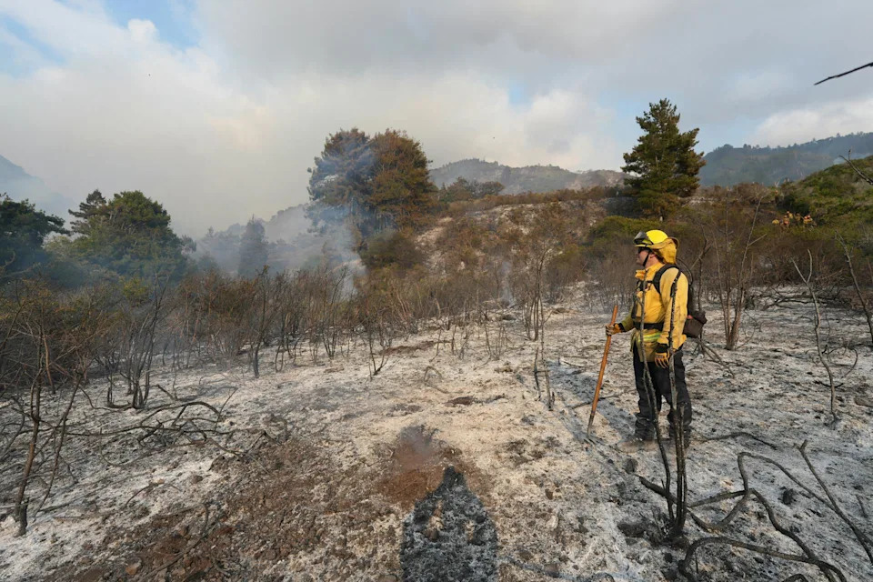 Wildfire Strategy Should Be Connected, Not Competitive: Why Suppression, Thinning and Managed Burns Must Work Together