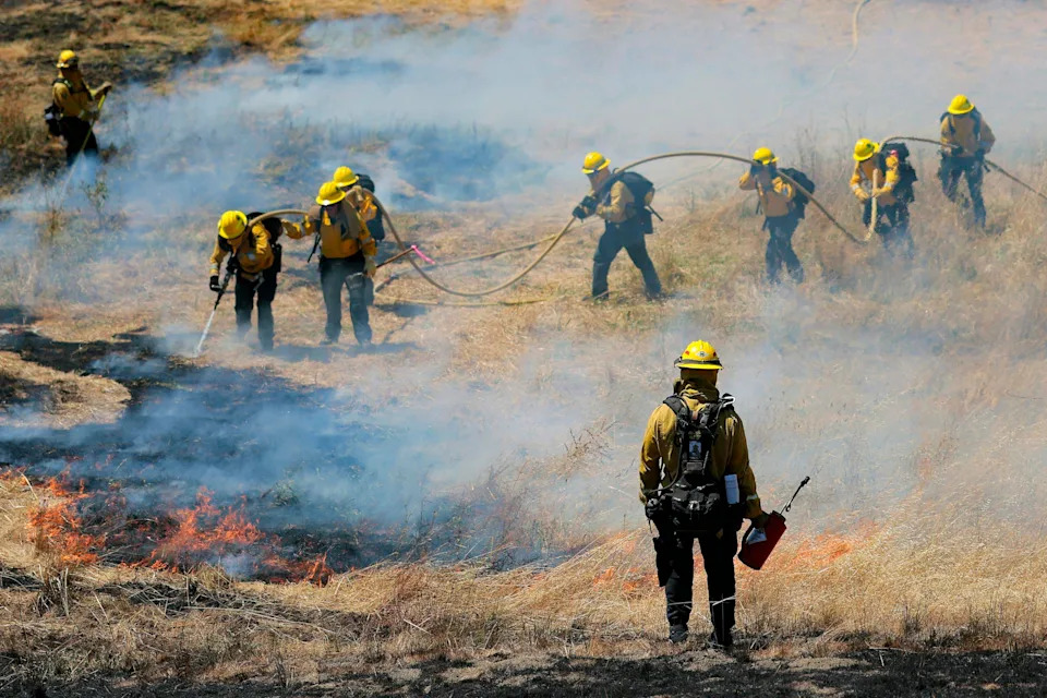 Wildfire Strategy Should Be Connected, Not Competitive: Why Suppression, Thinning and Managed Burns Must Work Together
