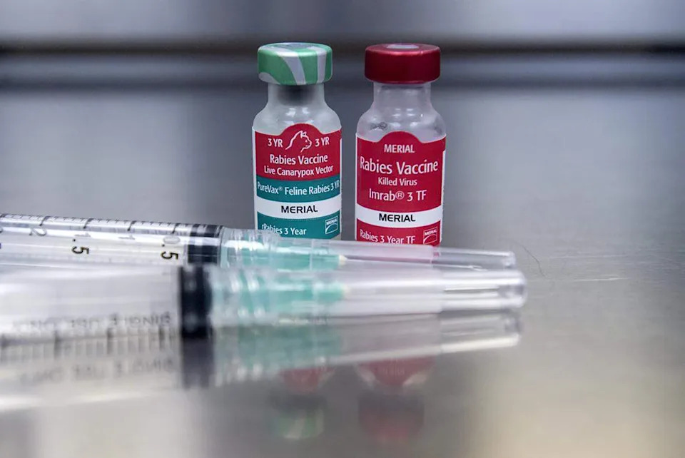 CDC Warns: Human Rabies Exposures Rising Across the U.S.; Officials Urge Caution