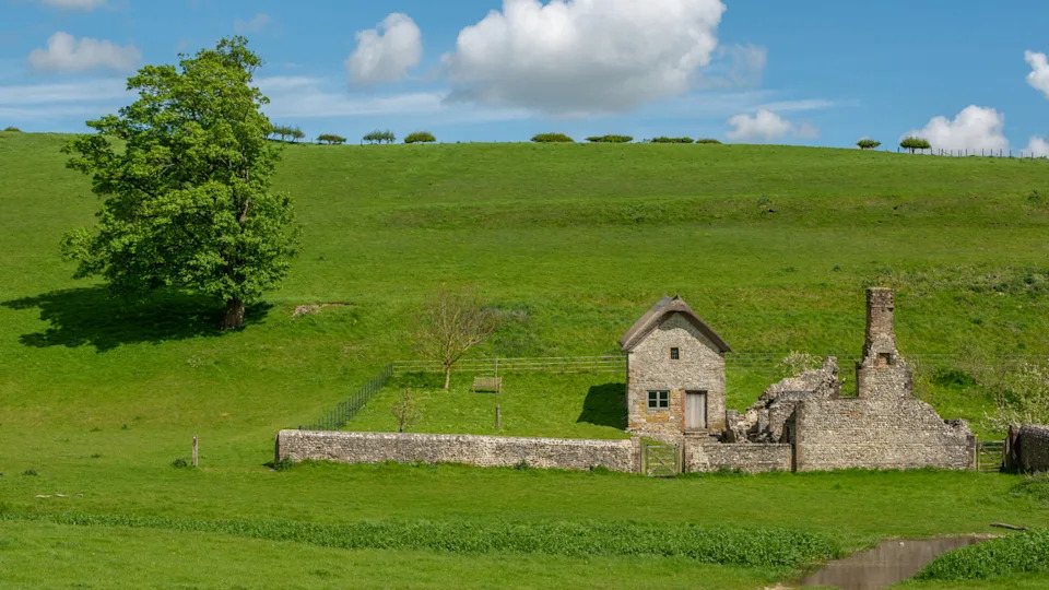Lyscombe Declared a National Nature Reserve — 833 Acres Secured to Boost Wildlife and Unlock 3,700 Homes