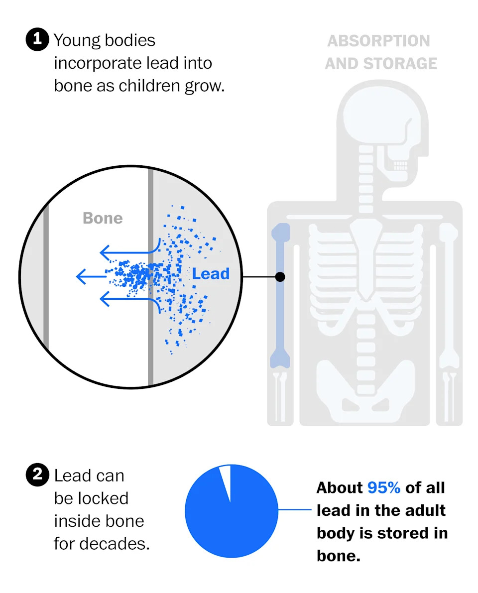 Childhood Lead Exposure May Double Dementia Risk Decades Later