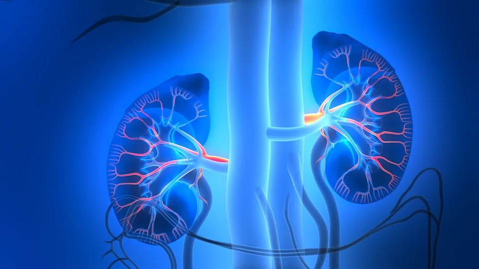 Mysterious Kidney Disease Linked To Heat Strikes Young Texas Laborers