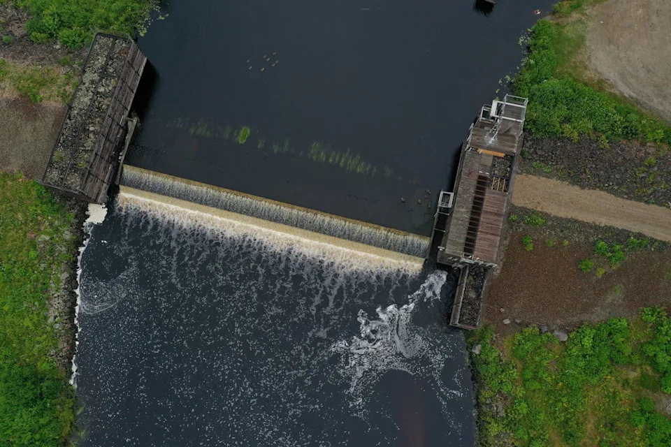 Dam Removed, Fishway Built: Will Atlantic Salmon Return To Maine’s Narraguagus River?