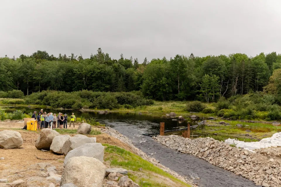 Dam Removed, Fishway Built: Will Atlantic Salmon Return To Maine’s Narraguagus River?