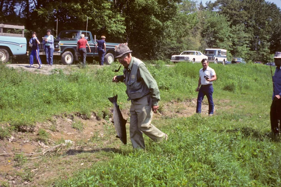 Dam Removed, Fishway Built: Will Atlantic Salmon Return To Maine’s Narraguagus River?