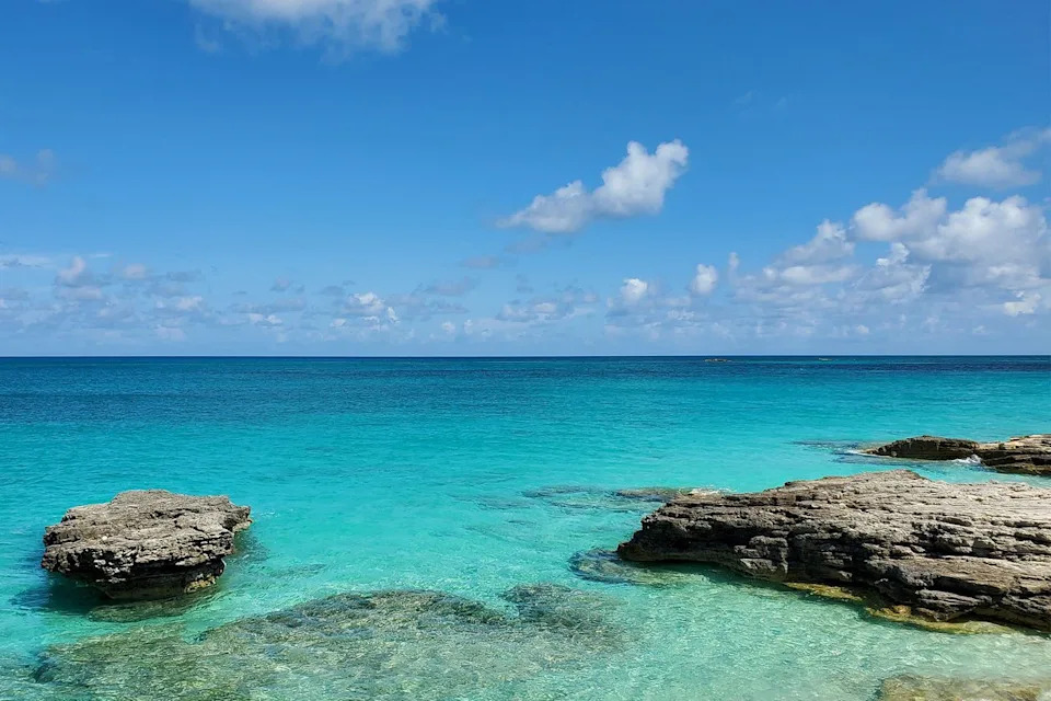 Shark Attack Off North Bimini Injures 37-Year-Old Australian During Dolphin Excursion