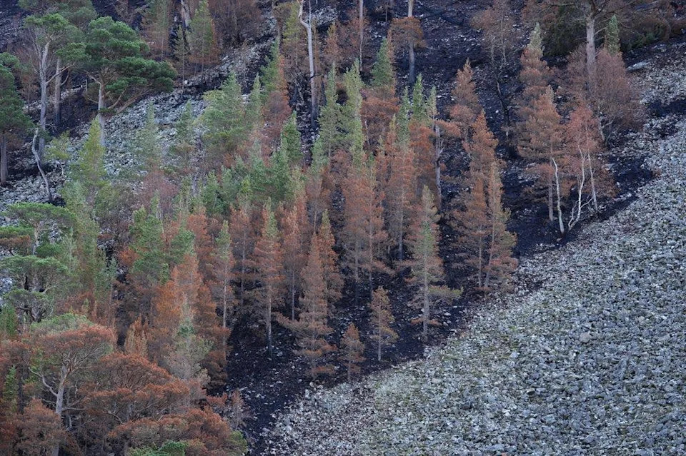 Kralj Čarls i kraljica Kamila: „Bio sam zgrožen“ — poseta Cairngormsu i apel za borbu protiv klimatskih promena