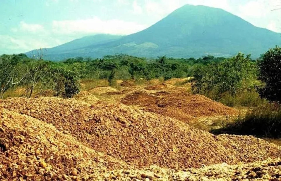 How 12,000 Tons of Orange Peels Helped Turn a Barren Costa Rican Pasture Into Forest