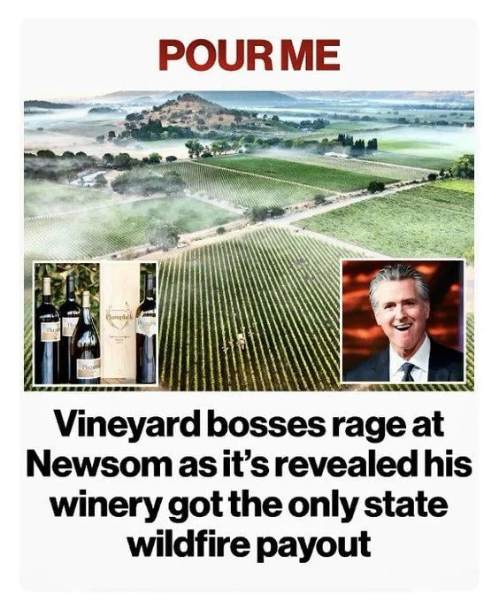 Fact Check: Newsom’s Winery Did Not Receive a State Wildfire Payout — It Reached a Private Settlement