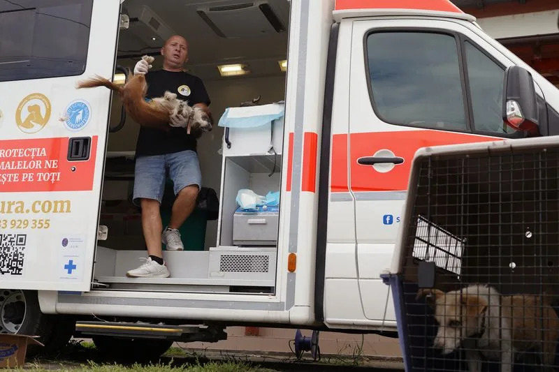 Azil Smeura Nudi Alternativu Eutanaziji: Osam Mobilnih Klinika Steriliše Skoro 40.000 Pasa