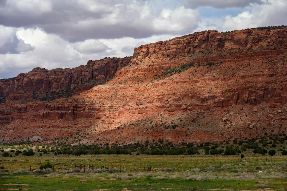 Ponovo U Nebo: Četiri Kalifornijska Kondora Puštena Na Vermilion Cliffs 26. Septembra