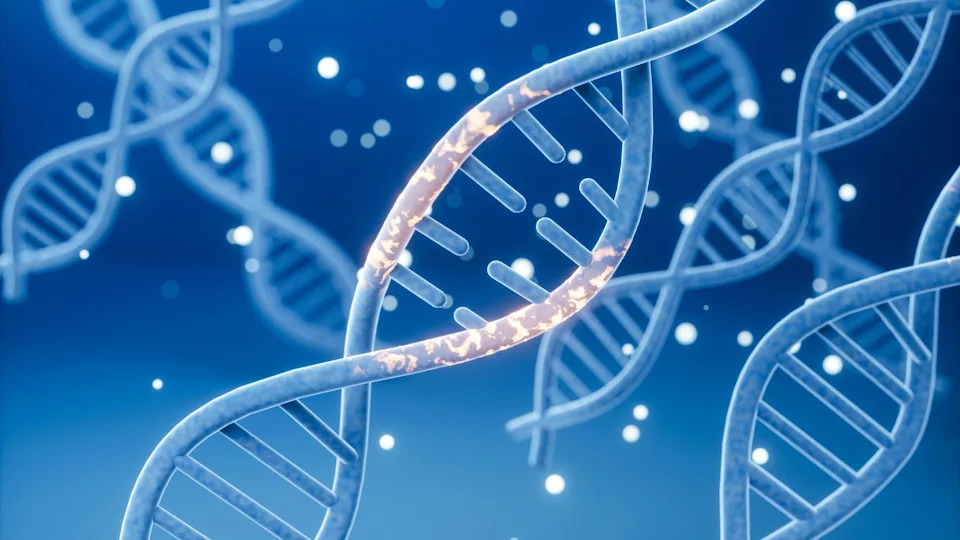 Rare Inherited EGFR Variant Dramatically Raises Lung Cancer Risk in Nonsmokers, Study Finds