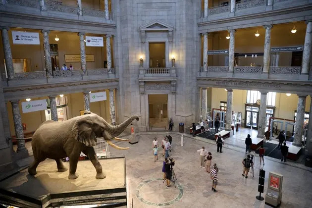 Trump Administration to Spend $84K on Signs Accusing Smithsonian of “Ideological Bias”