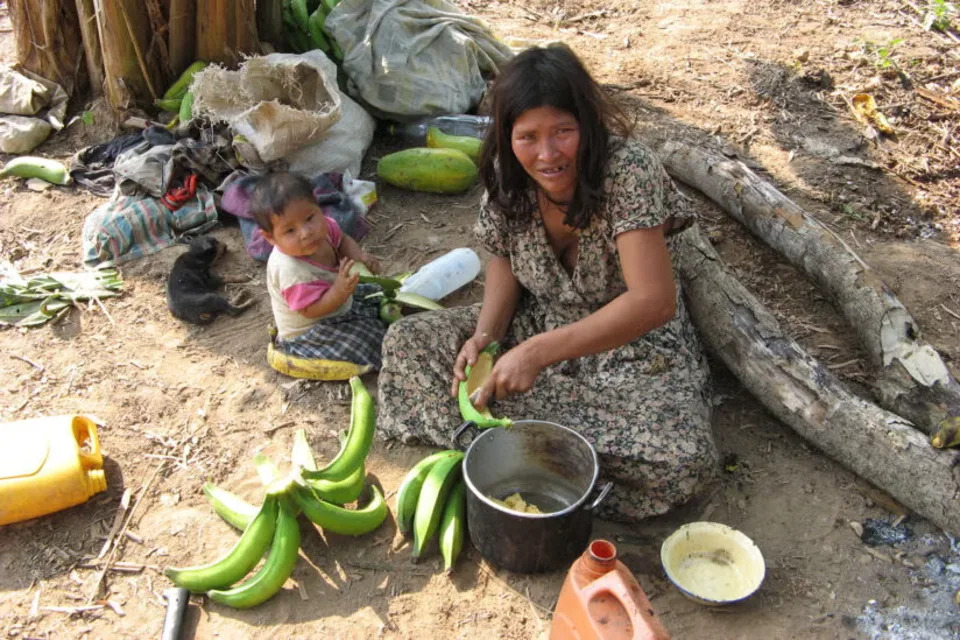 Why Two Remote Bolivian Amazon Communities Have Exceptionally Low Dementia Rates
