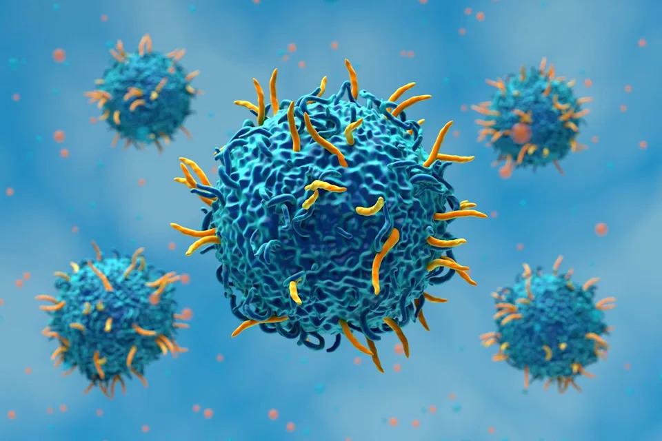 3-Year-Old’s Chemotherapy-Resistant Liver Cancer Enters Remission After Two Doses of Experimental CAR T Therapy