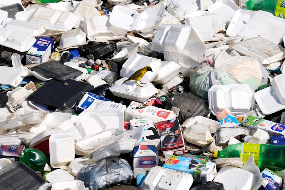 Africa’s Growing Waste Crisis: Johannesburg’s Illegal Dumps Spotlight a Continent-Wide Emergency