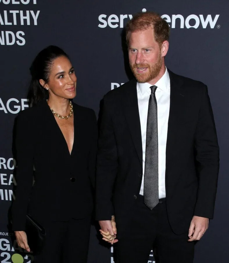 Did Meghan’s Cotswolds Video Put the Sussexes At Risk — Or Make A Point? Critics Call It A ‘Twisted Stunt’